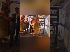 Наслаждающая поездка на выставку строительства в Сиднее